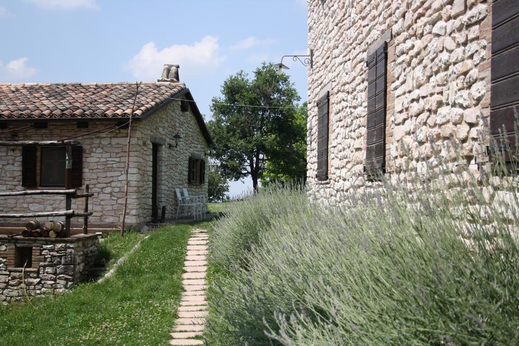 Agriturismo Valdifiori Sassoferrato エクステリア 写真